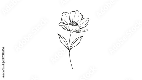 Elegant black and white floral illustration isolated on white background