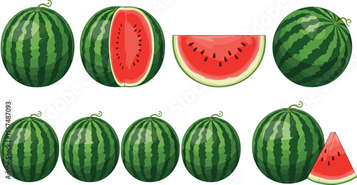Watermelon Illustration Set with Whole, Sliced, and Cut Pieces for Fresh Fruit, Summer, and Healthy Eating Designs