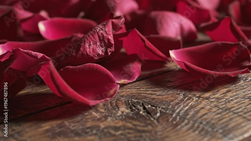 Close up of scattered romantic red rose petals on a weathered wooden surface for emotional concept