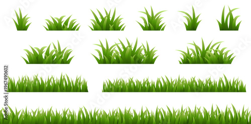 set of green grass