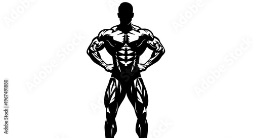 Muscular male bodybuilder silhouette showing strength and fitness.