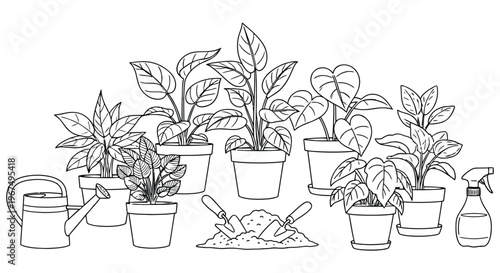 A collection of potted houseplants and gardening tools in a black and white illustration