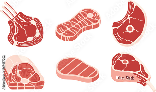Various Cuts of Fresh Meat Including Ribeye, Steak, and Chop Illustrations for Butcher, Cooking, and Food Designs