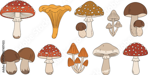 Various Mushrooms Set with Amanita, Chanterelle, and Brown Mushrooms for Nature, Food, and Organic Agriculture Designs