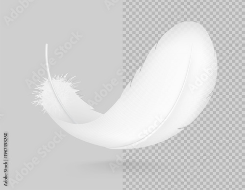 Bird feather mockup. Symbol for indicating that a product is lightweight, soft, gentle, hypoallergenic and etc. Hight realistic vector illustration isolated on grey and transparent backgrounds. Perfec