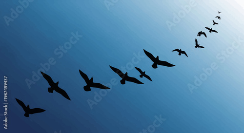Birds flying in formation against a clear blue sky.