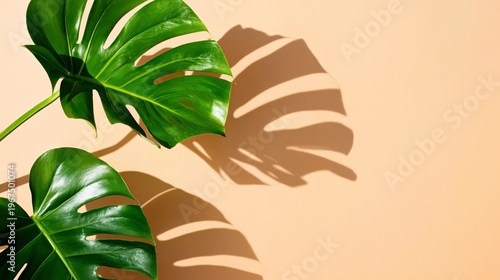 Bright Beach Scene With Clear Water and Palm Trees on a Sunny Day