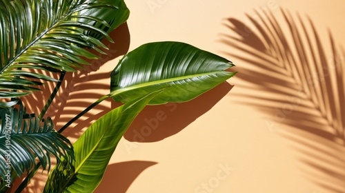 Close-up View of Green Leaves on a Wall With Shadows in a Bright Indoor Setting