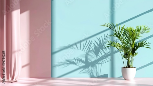 Bright Room With Blue Wall and Green Plant in Soft Light During the Day