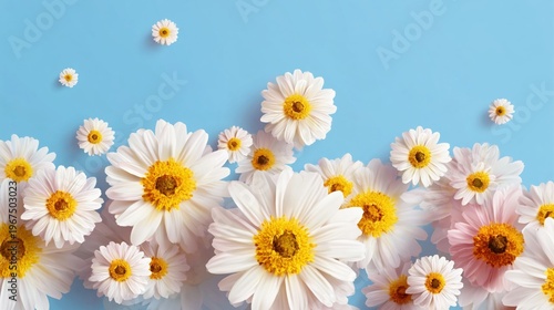 Bright Flowers Against a Blue Background Create a Simple and Lively Display i...