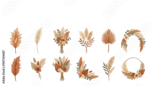 Organic Boho Wedding Botanical Vector Set Different Pampas Grass Elements for Earthy Bridal Stationery and Modern Wellness Branding