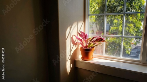 Warm Light Casts Shadows in a Simple Room With a Table and Chairs