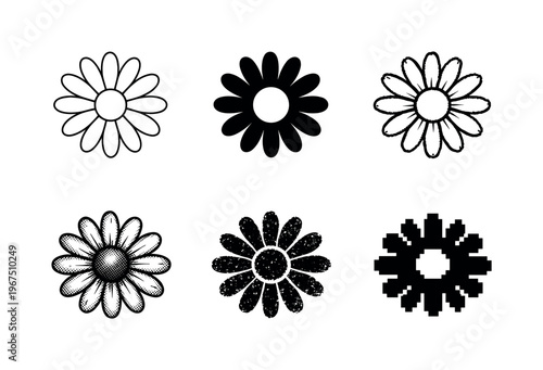Blooming daisy flower with round center and evenly spaced petals, symbolizing nature, spring, and gentle beauty | Create ONE
