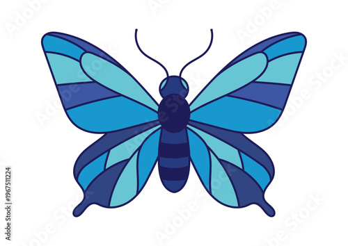 Colorful butterfly with blue and teal wings displays its patterns on a white background