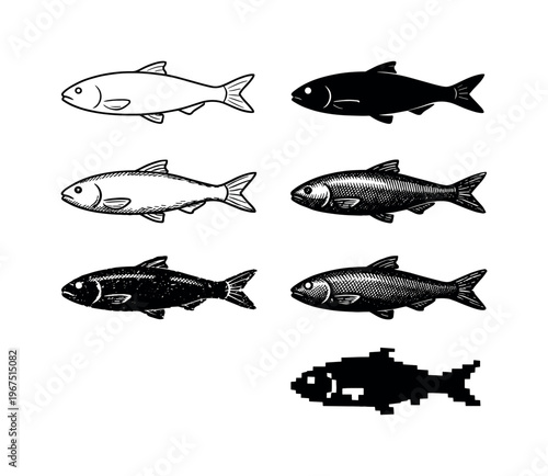 Fresh whole fish with streamlined body and fins, commonly prepared as seafood for cooking and meals | Create ONE image containing