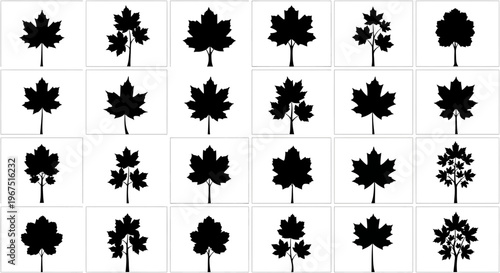 Collection of silhouetted maple leaves and trees on white background representing autumn nature and canadian symbols in various artistic styles and arrangements