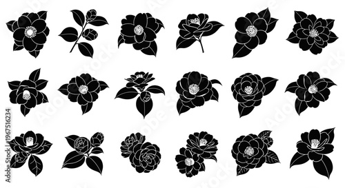 Collection of black silhouette camellia flowers and leaves elegant botanical illustrations for design projects isolated on white background simple and artistic floral elements