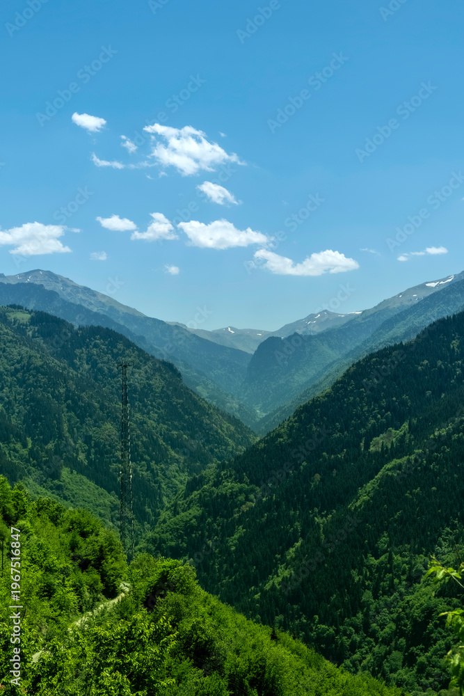 Obraz premium Vertical landscape of lush green mountain valley and forest slopes. The vastness of the wilderness with distant hazy peaks and a communication tower visible on the ridge and vertical landscape.