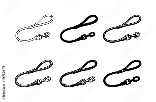 Durable dog leash with loop handle and metal clip, used to guide and control a pet during walks | Create ONE image containing