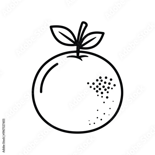 Mandrain line black icon citrus fruit vector