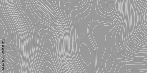 grey topographic map background with white contour lines, abstract minimal wavy pattern for terrain or geography design