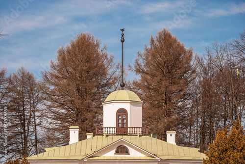 The roof of the attic of an old house with a steeple and a weather vane