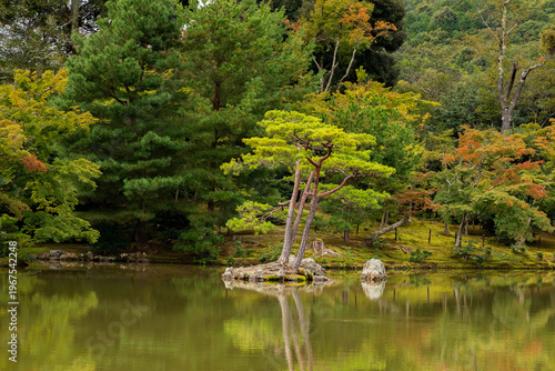 Foto The garden and pond of Kinkakuji Temple (The Golden Pavilion) in Kyoto, Japan