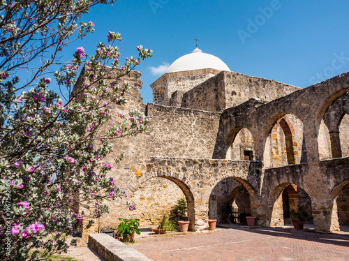 Blooming tree and the Historic Mission San Jose, San Antonio