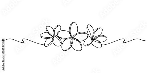 Minimalist continuous line drawing featuring a delicate trio of tropical plumeria flower blossoms