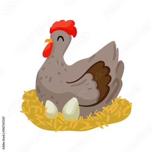 Cartoon vector illustration of a hen sitting on a nest with eggs. Flat farm bird isolated on white background for agriculture and children design.