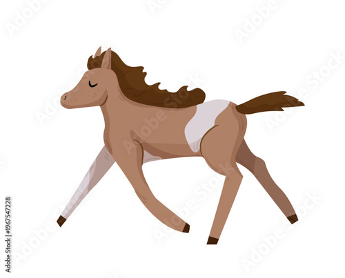 Cartoon vector illustration of a young horse running. Flat style farm animal isolated on white background for children and agriculture design.