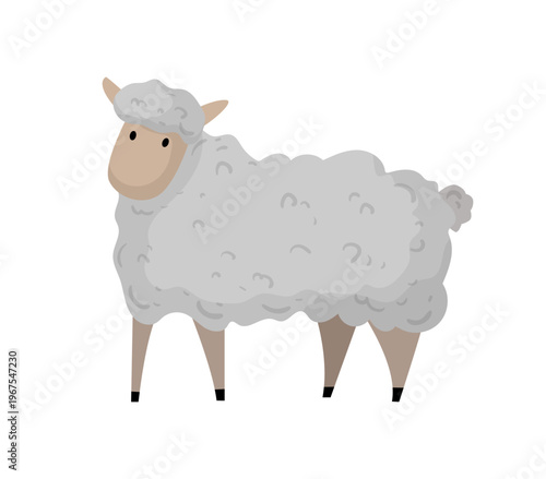 Cartoon vector illustration of a sheep standing. Flat style farm animal isolated on white background for agriculture and livestock design.
