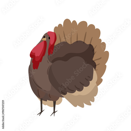 Cartoon vector illustration of a turkey bird. Flat farm animal isolated on white background for agriculture and festive design.