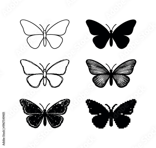 Delicate butterfly with symmetrical wings and slender body, colorful garden insect known for pollination and transformation |