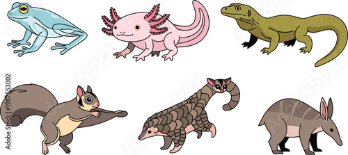Exotic Animal Icon Set with Frog Axolotl Lizard Flying Squirrel Pangolin and Anteater Characters for Wildlife Nature and Rare Species Illustration Design