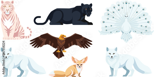 Wild Animal and Bird Icon Set with Tiger Panther Peacock Eagle Arctic Fox and Fennec Fox Characters for Wildlife Nature Illustration Design