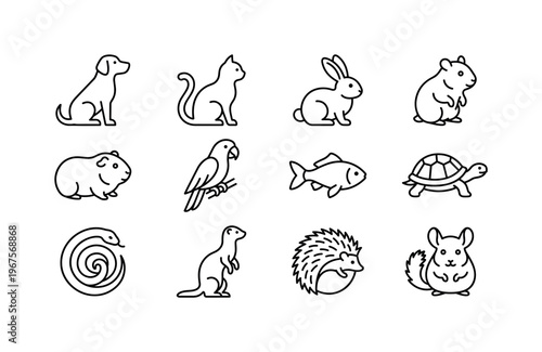 Dog sitting, cat sitting, rabbit sitting, hamster sitting, guinea pig sitting, parrot perched, fish swimming, turtle walking,