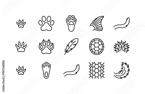 Dog paw, cat paw, rabbit paw, hamster paw, guinea pig paw, bird feather, fish fin, turtle shell, snake skin pattern, ferret tail,