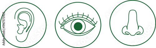 Vector illustration of human sensory organ icons with ear, eye, and nose line drawings in green circular designs
