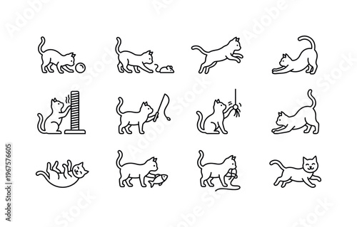 Cat playing with ball, cat chasing mouse toy, cat jumping, cat stretching, cat scratching post, cat with teaser wand, cat batting