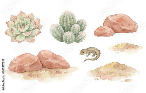 Desert succulent cactus lizard rocks watercolor desert art