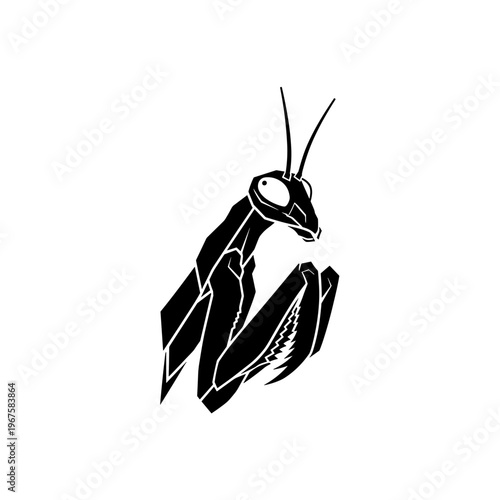 Black and white praying mantis insect.