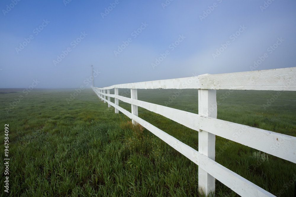 Fototapeta premium White Fence Leading Through Foggy Field with Dramatic Perspective