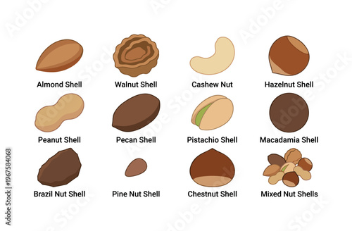 Collection of various nuts in their shells and shelled varieties