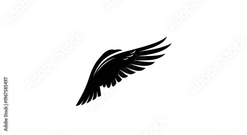 Black bird wing in flight motion.