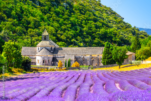 Konstfotografi Senanque Abbey Gordes Provence Lavender fields Notre-Dame de Senanque, Luberon, France