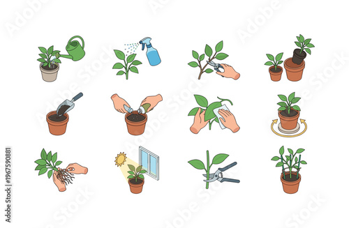 Illustrated guide to plant care: watering, pruning, repotting, and fertilizing