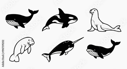 Ocean wildlife illustrations: Orca, whale, sea lion, manatee, and narwhal. Cute monochrome drawing sea creatures.