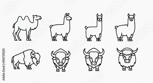 A collection of eight animal icons, depicting camel, llama, buffalo, and yak in simple outline illustrations.