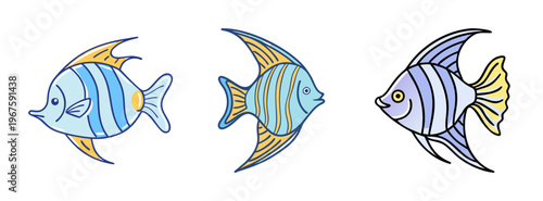 Three colorful fish with blue and yellow fins and stripes on their bodies